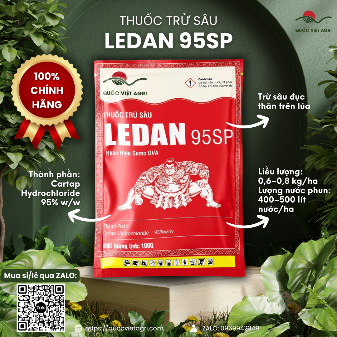 Mặt trước gói LEDAN 95SP 100g nhãn hiệu Sumo QVA - Cartap hydrochloride 95% w/w, trừ sâu đục thân trên lúa