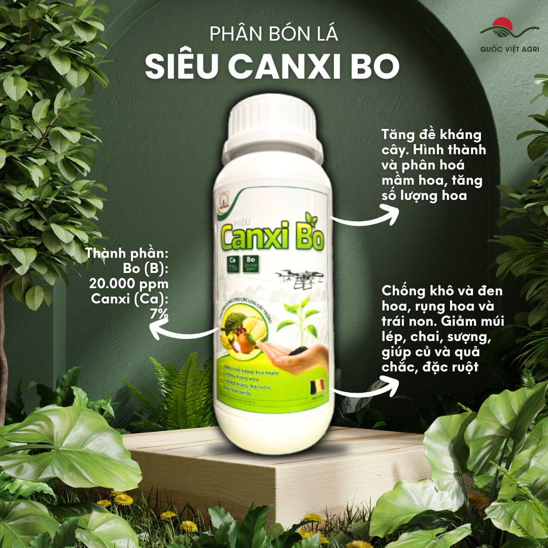 Chai phân bón lá Siêu Canxi Bo Nicotex 500ml, nổi bật với hình ảnh quả bưởi căng bóng, chắc khỏe.