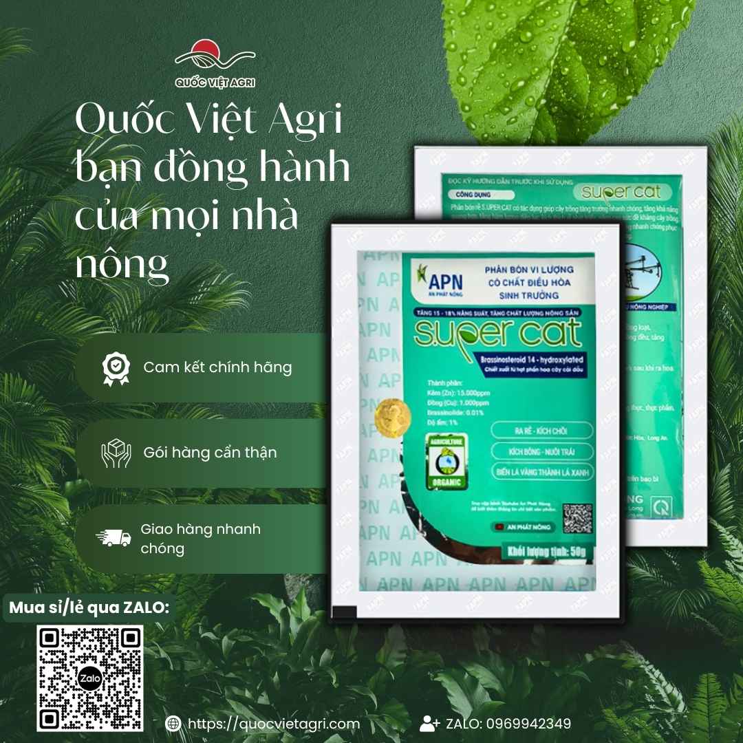 Thành phần Brassinosteroid sinh học mặt sau gói Super Cat chống stress.