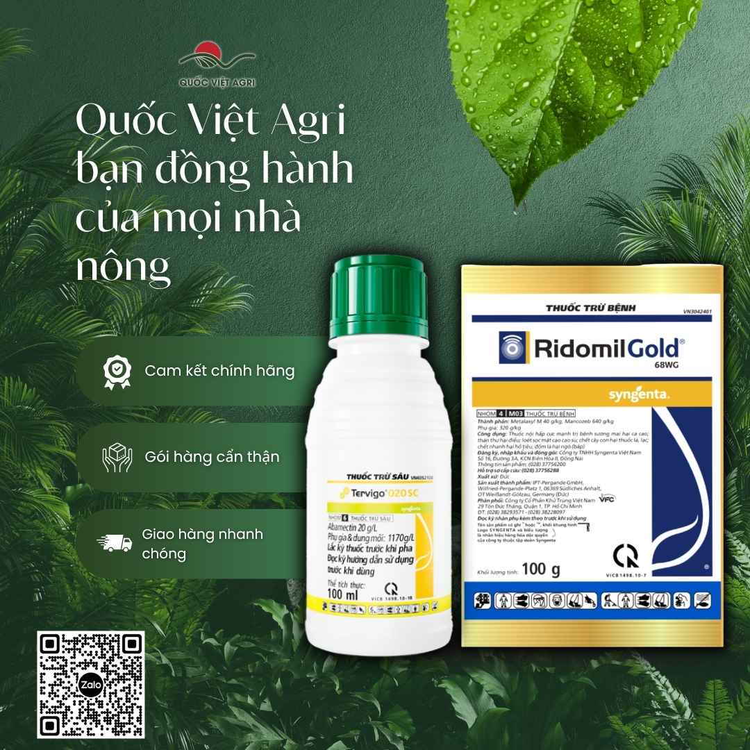 Thành phần Abamectin và Metalaxyl Mancozeb mặt sau Combo Syngenta.