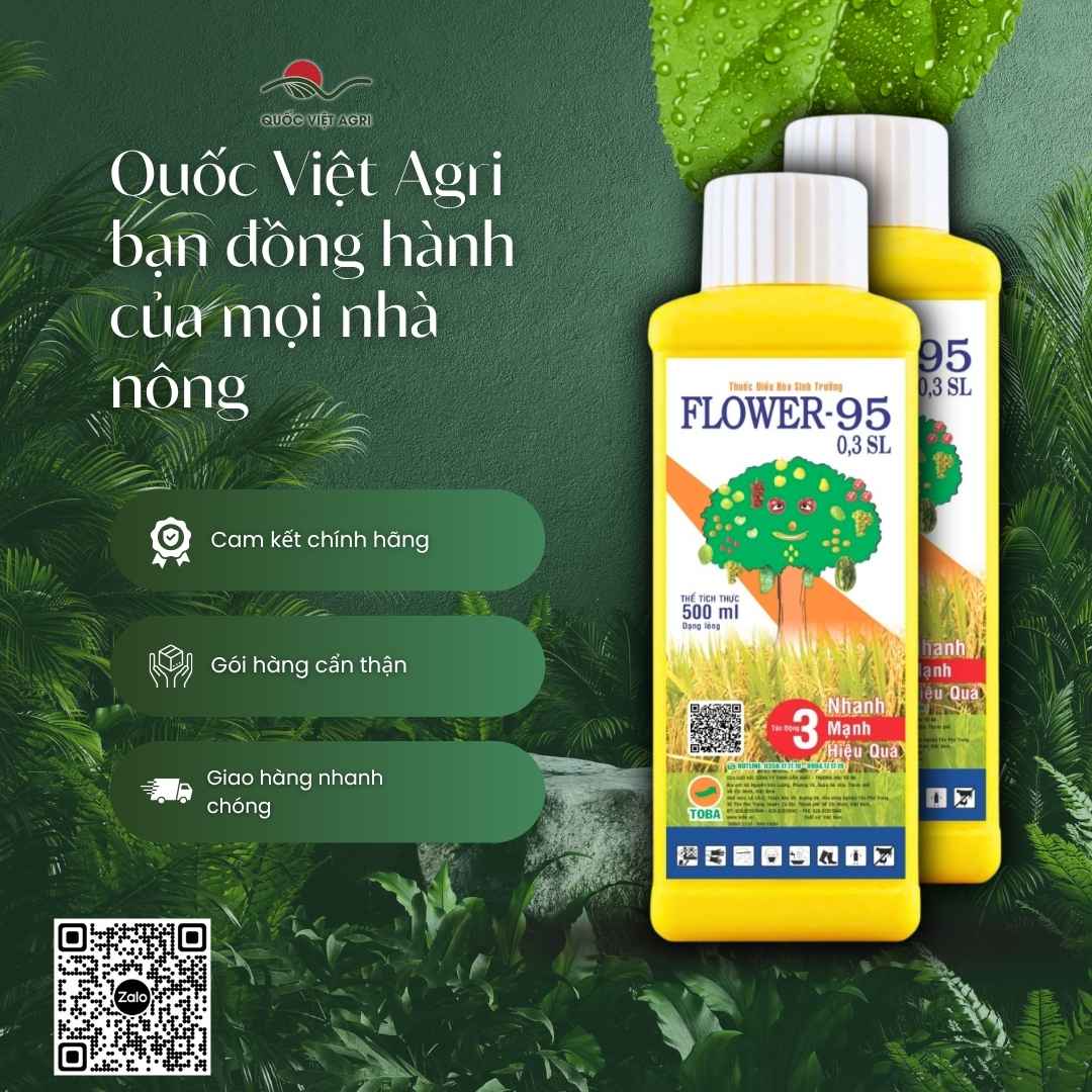 Bảng thành phần NAA 0.3% mặt sau chai Flower F95 kích rễ.