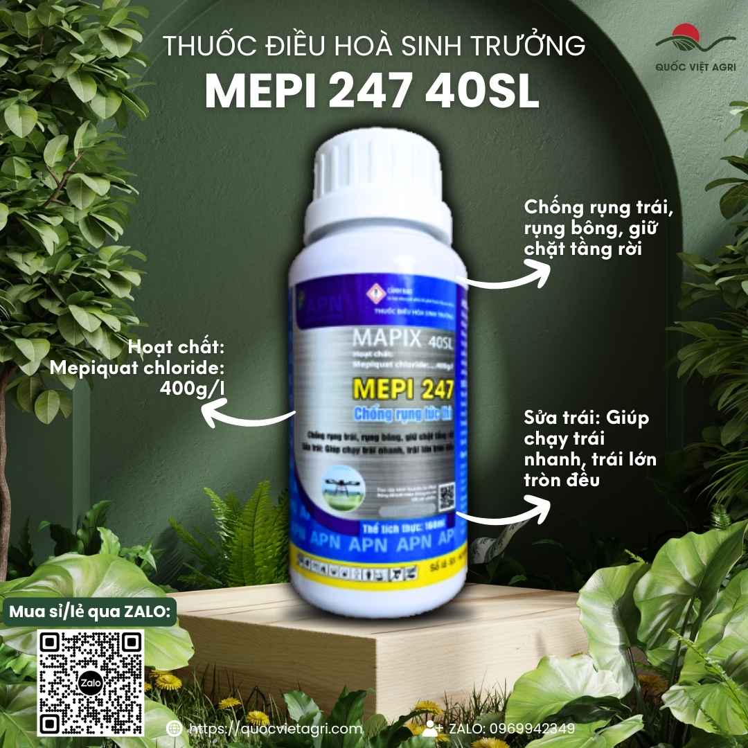 Mặt trước chai Thuốc sinh trưởng MEPI 247 40SL 160ml của An Phát Nông.