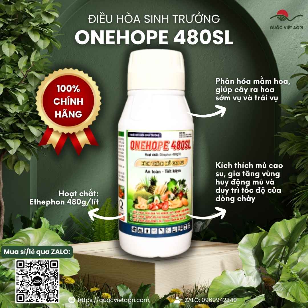 Mặt trước chai điều hòa sinh trưởng Onehope 480SL 450ml, chuyên dùng để kích thích mủ cao su, xử lý trái chín đồng loạt.