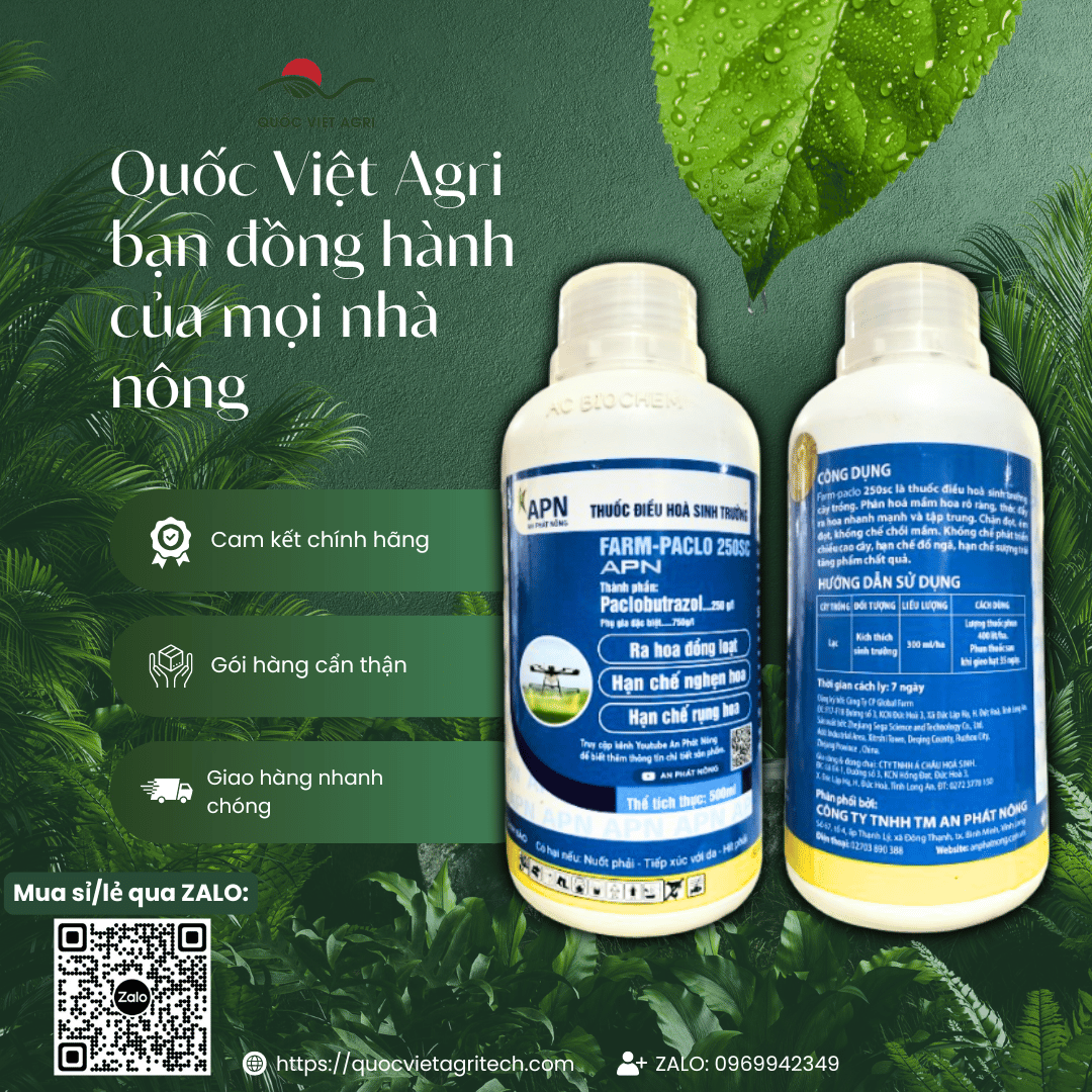 Cả hai mặt sản phẩm – chai nhựa trắng, nắp vàng, thiết kế chắc chắn