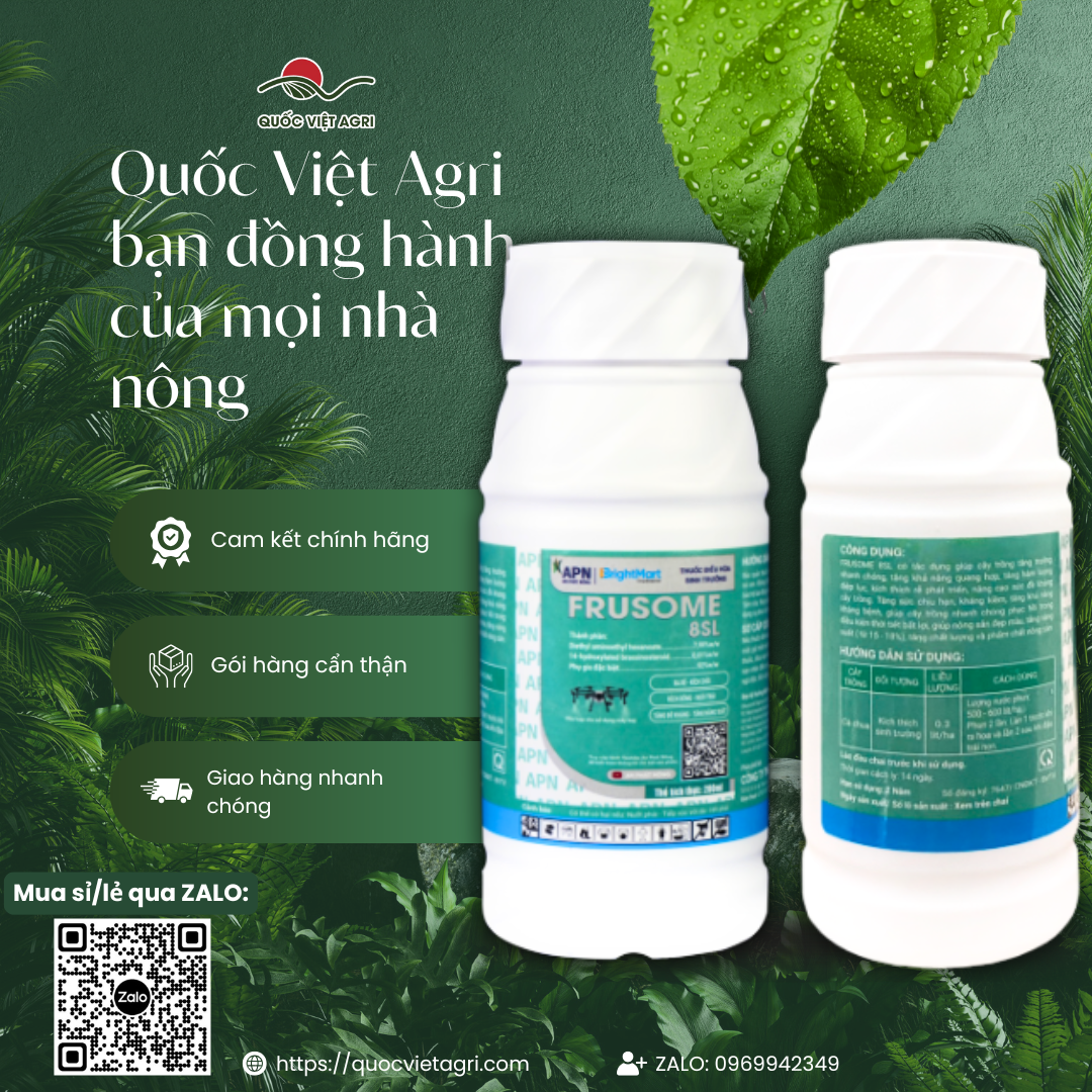  Toàn cảnh sản phẩm – chai nhựa chắc chắn, nắp kín

