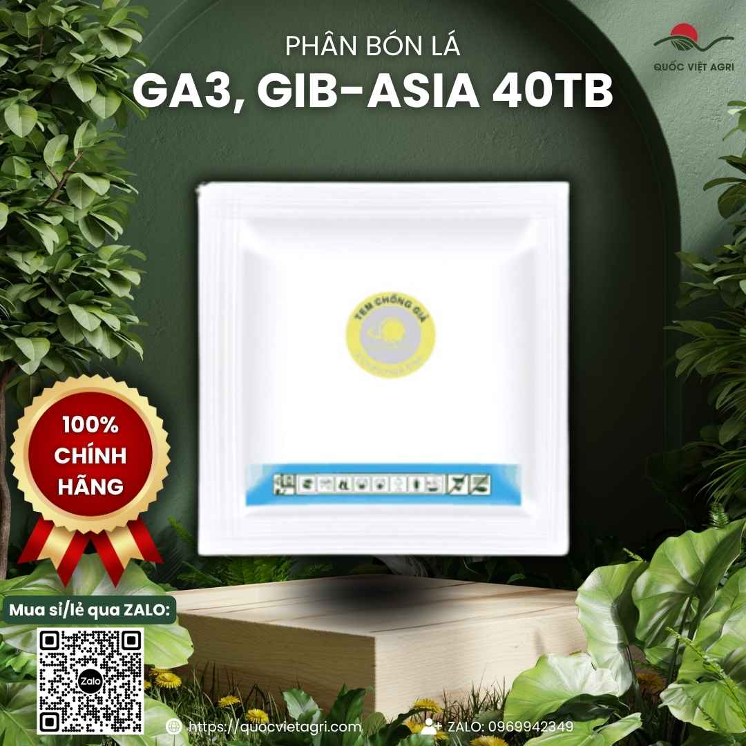 Mặt sau vỉ thuốc điều hòa sinh trưởng GA3 Viên Sủi 5g, chuyên dùng để kích thích tăng trưởng, kéo bông, sản phẩm chính hãng Á Châu Hóa Sinh.