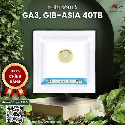 Mặt sau vỉ thuốc điều hòa sinh trưởng GA3 Viên Sủi 5g, chuyên dùng để kích thích tăng trưởng, kéo bông, sản phẩm chính hãng Á Châu Hóa Sinh.