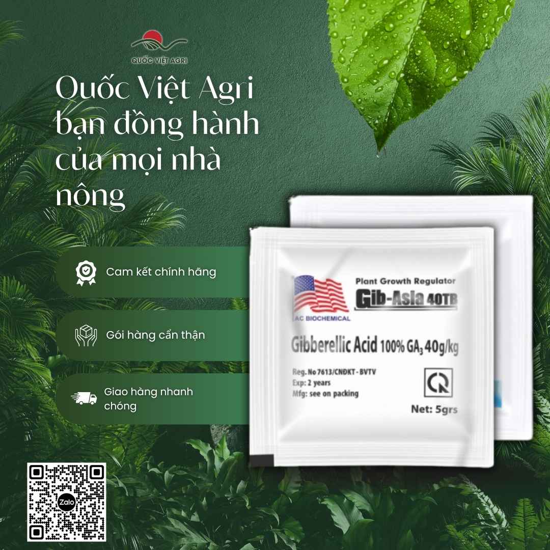 Ảnh toàn diện vỉ thuốc điều hòa sinh trưởng GA3 Viên Sủi 5g, chuyên dùng để kích thích tăng trưởng, kéo bông, sản phẩm chính hãng Á Châu Hóa Sinh.