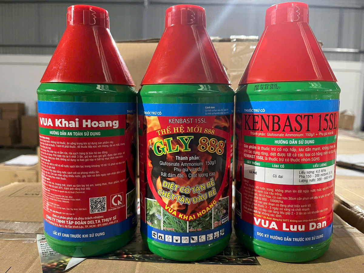 Chai thuốc trừ cỏ Vua Khai Hoang GLY 888 900 ml (Kenbast 15SL, glufosinate-ammonium 150 g/l): mặt an toàn, mặt trước và mặt hướng dẫn sử dụng trên cà phê