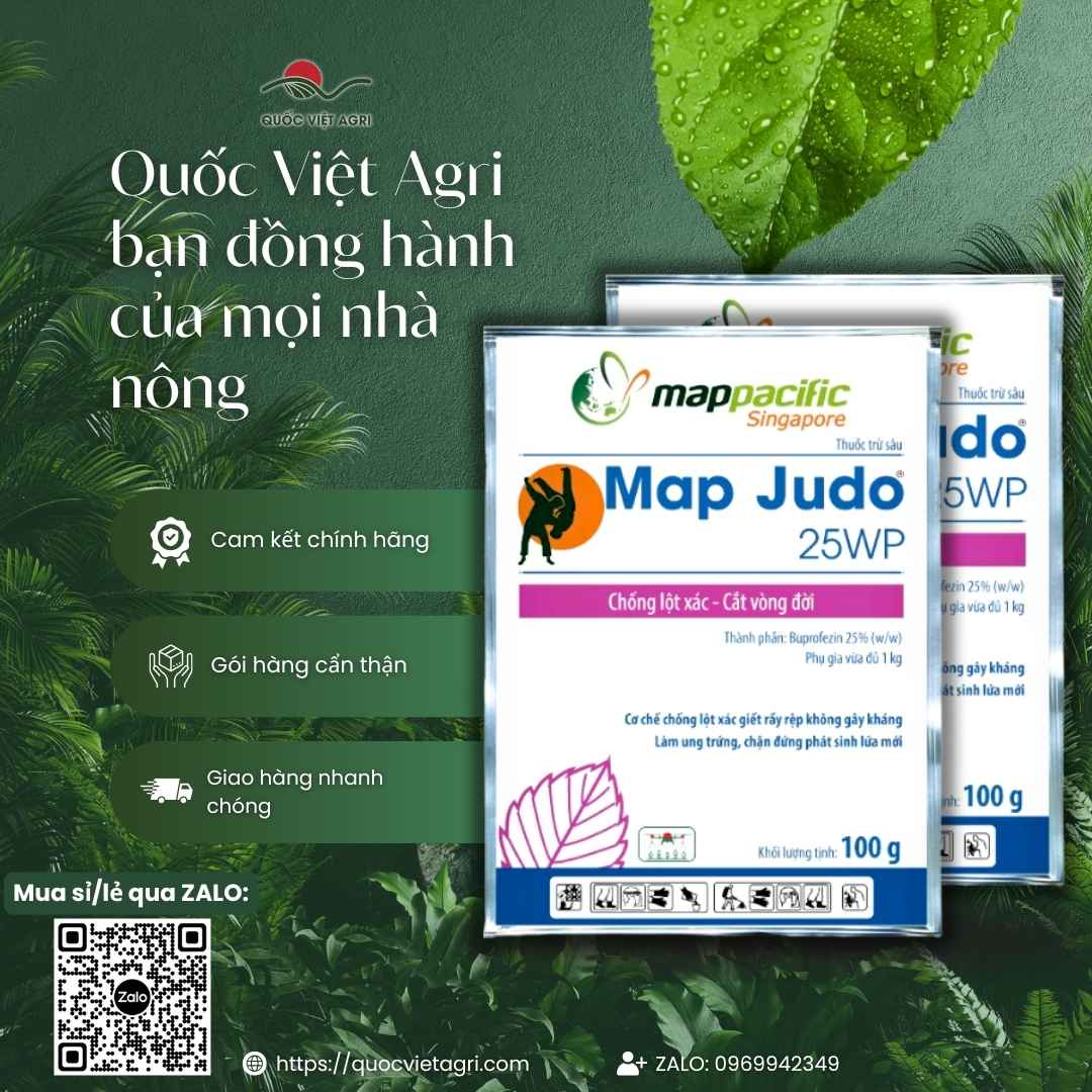 Hai gói thuốc trừ sâu Map Judo 25WP 100 g kèm cam kết chính hãng, gói hàng cẩn thận và giao hàng nhanh chóng của Quốc Việt Agri.