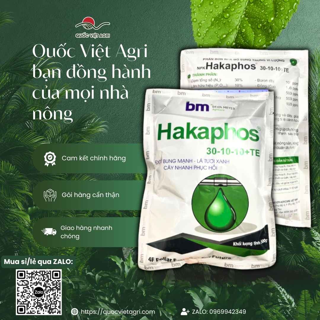 Ảnh toàn diện gói phân bón lá Hakaphos 30-10-10+TE 500g, chuyên dùng để bung đọt, phục hồi cây, sản phẩm nhập khẩu Tây Ban Nha.
