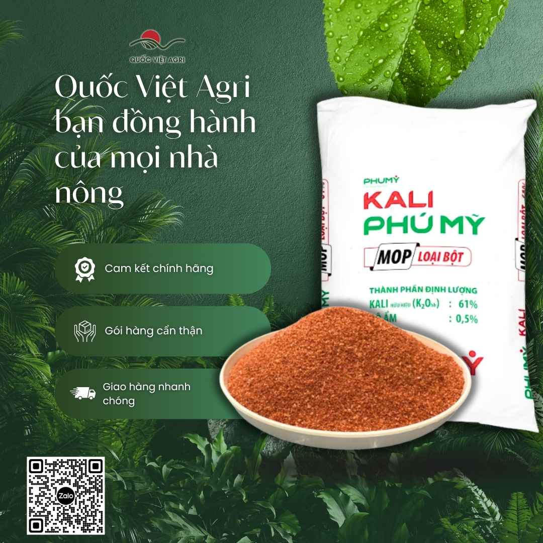 Cận cảnh hạt phân Kali miểng đỏ tự nhiên không nhuộm màu.