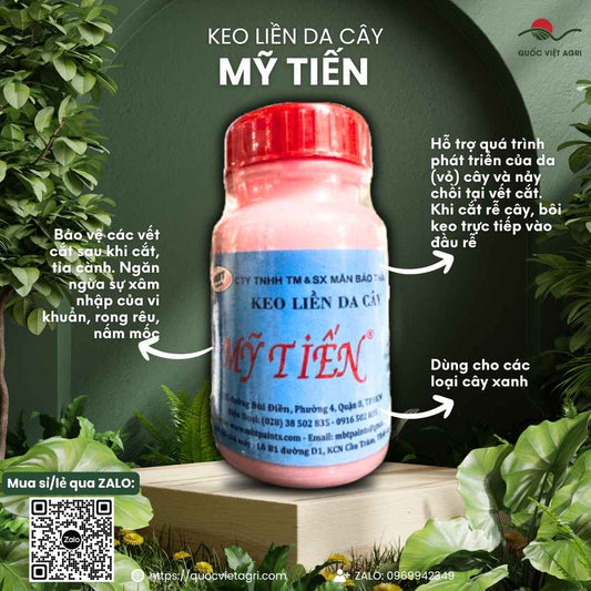 Mặt trước hủ keo liền da cây Mỹ Tiến 100g, chuyên dùng để bảo vệ vết cắt, chiết ghép cành cho bonsai, cây ăn trái.

