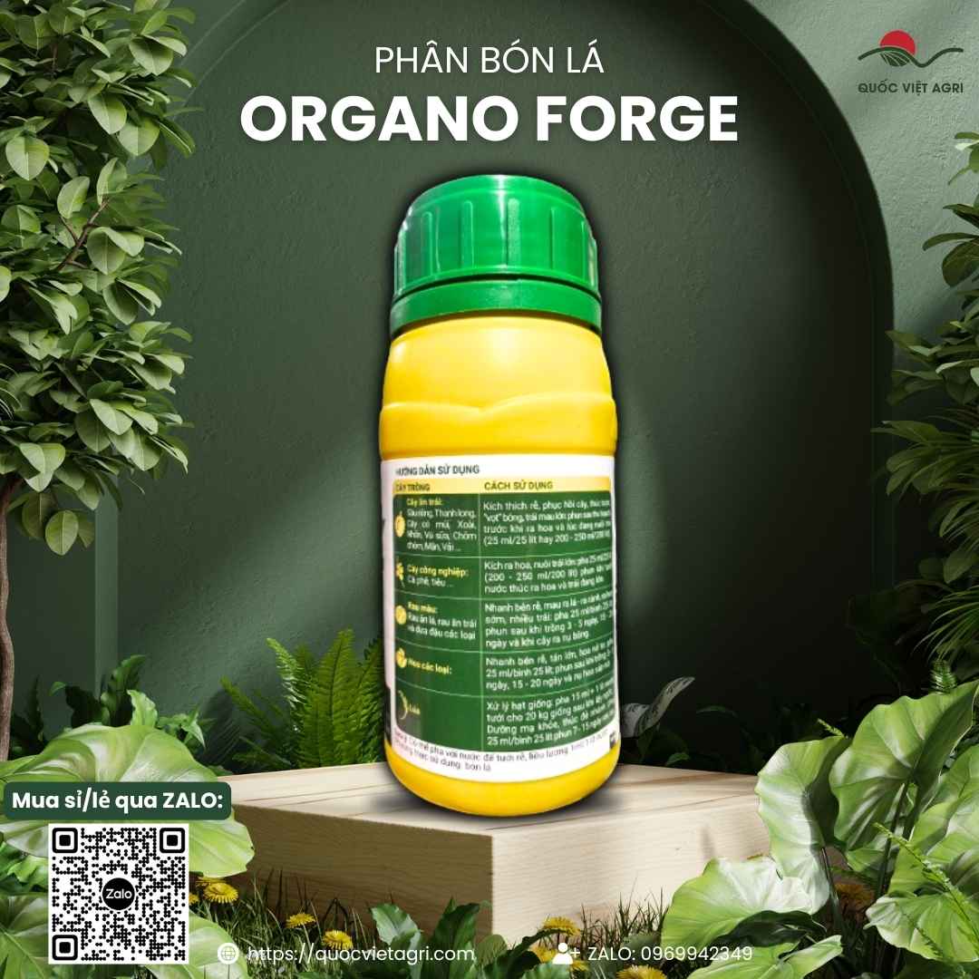 Mặt sau chai điều hòa sinh trưởng Hợp Trí Organo Forge 250ml, chuyên dùng để kích rễ, bung đọt, sản phẩm chính hãng Hợp Trí.
