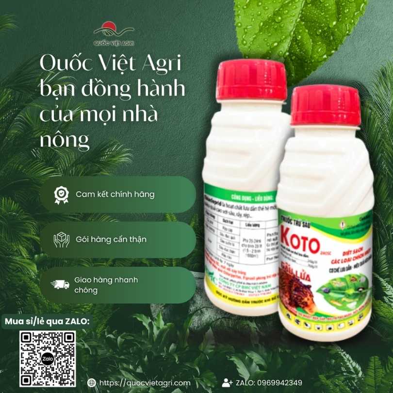 Hình ảnh tổng quan sản phẩm thuốc trừ sâu Koto 240SC Gấu Lửa 200ml, giải pháp lưu dẫn mạnh đặc trị côn trùng chích hút từ Quốc Việt Agri.


