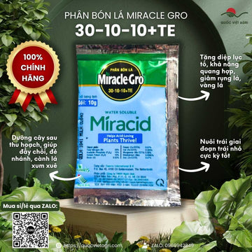 Miracle-Gro 30-10-10+TE (Miracid, Gói 10g) – Phân Bón Lá Bung Đọt, Xanh Lá, Phục Hồi Cây