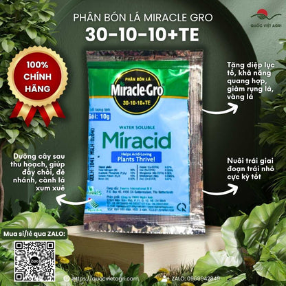 Mặt trước gói phân bón Miracle-Gro 30-10-10+TE (Miracid) 10g, chứa NPK 30-10-10 và vi lượng chelate, chuyên bung đọt, xanh lá.


