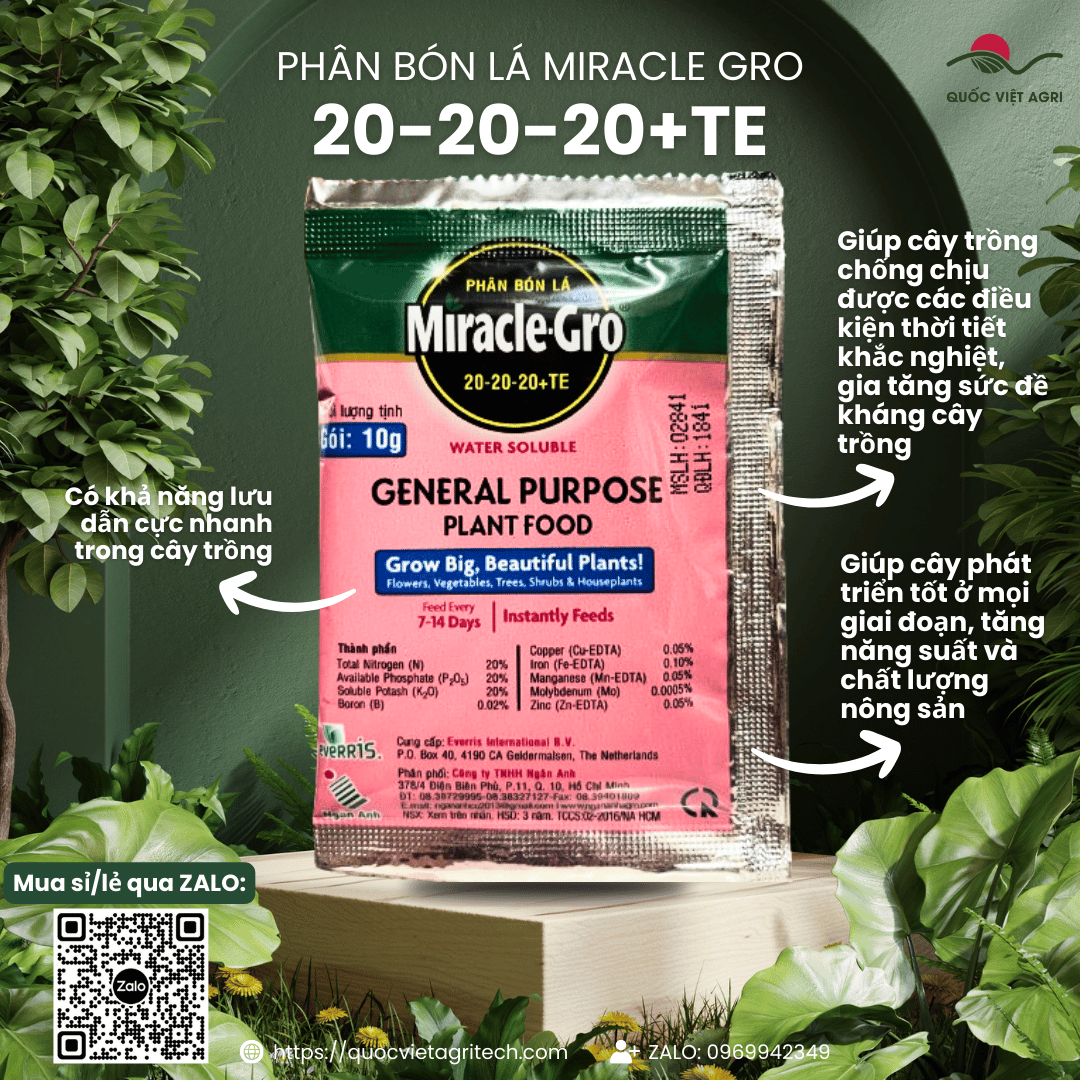 Gói phân bón lá Miracle-Gro 20-20-20+TE 10g, với thiết kế bao bì chuyên nghiệp, có cờ Hà Lan tượng trưng cho xuất xứ.