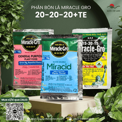 Phân bón lá NPK HÀ LAN Miracle Gro 20-20-20+TE (gói 10g)