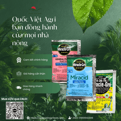 mặt sau của gói miracle gro