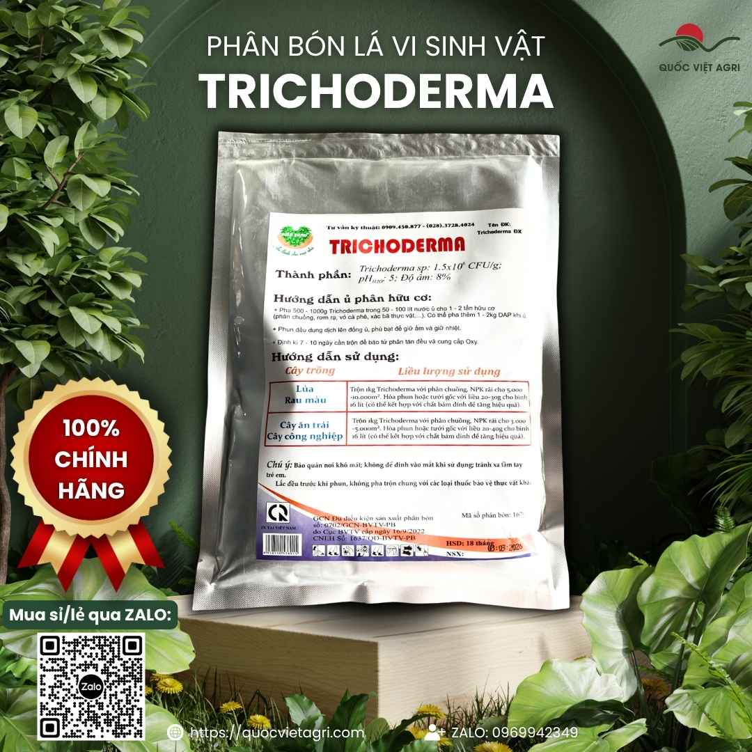 Bảng thành phần mật độ bào tử nấm Trichoderma mặt sau gói Điền Xanh.