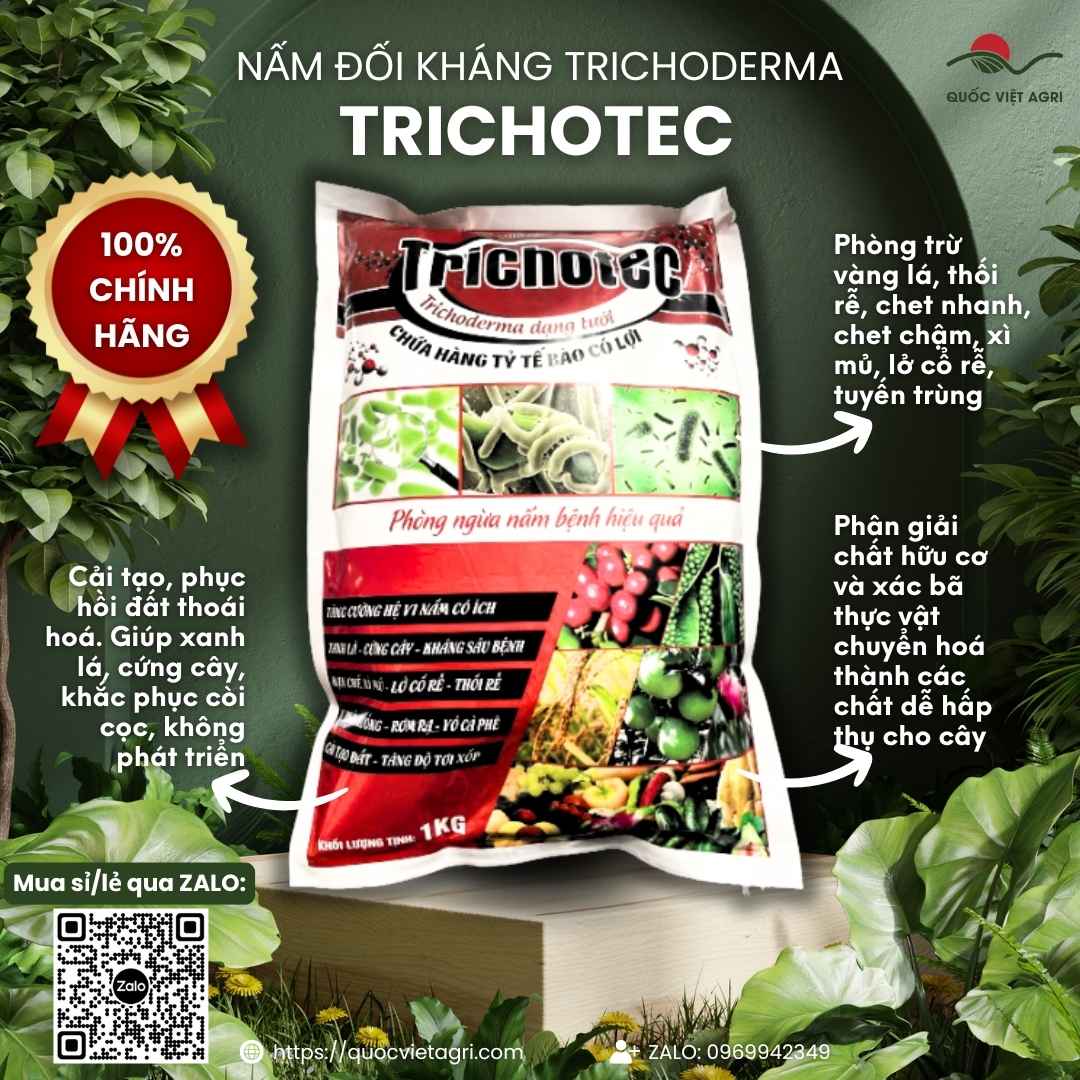 Mặt trước gói nấm đối kháng Trichoderma Trichotec 1KG, chuyên dùng để cải tạo đất, ủ phân, sản phẩm chính hãng của Quốc Việt Agri.

