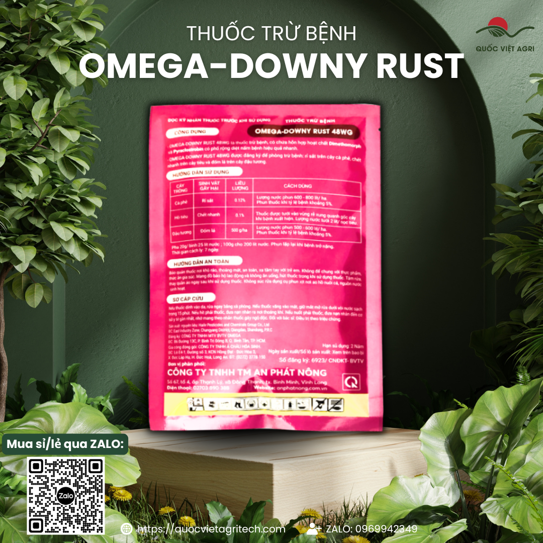 Thuốc trừ bệnh OMEGA DOWNY RUST 48WG (gói 100g) - Chính hãng An Phát Nông phòng rỉ sắt trên cây trồng