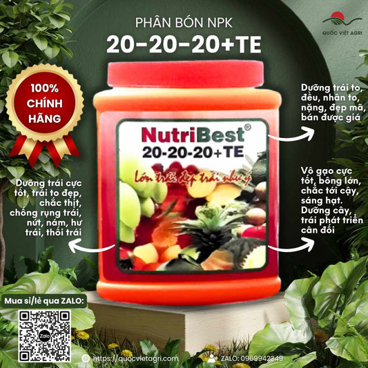 Hủ phân bón NutriBest 20-20-20+TE 500g, với thiết kế bao bì chuyên nghiệp, bắt mắt.