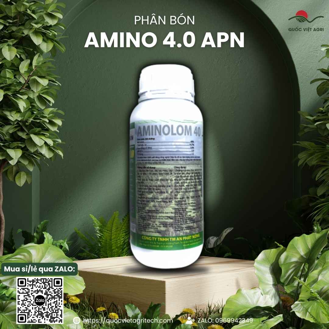 Mặt sau chai Phân Bón Lá Amino 4.0 500ml với thông tin thành phần Axit Amin 40% và hướng dẫn tưới/phun định kỳ.
