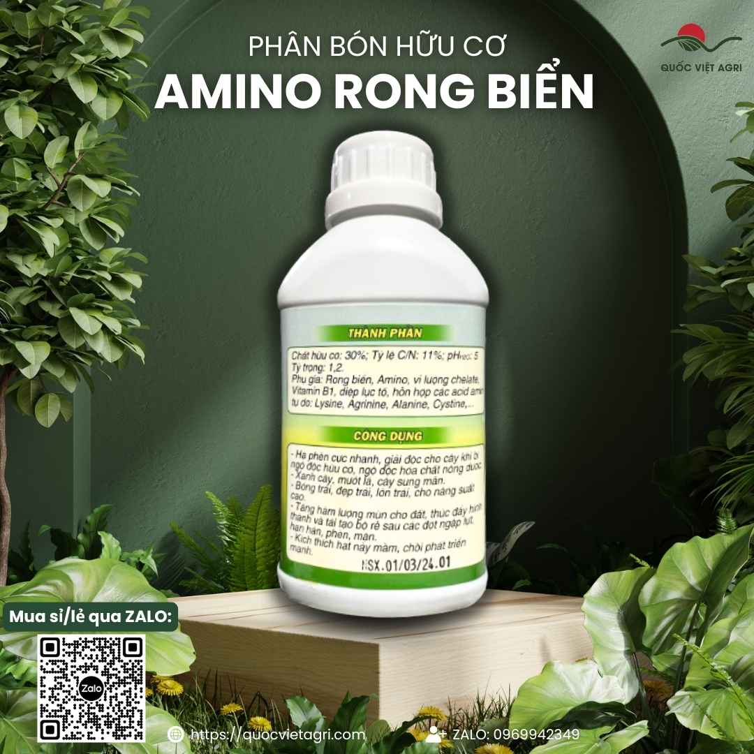 Bảng thành phần hữu cơ 30% và Axit Amin mặt sau chai Amino Rong Biển.