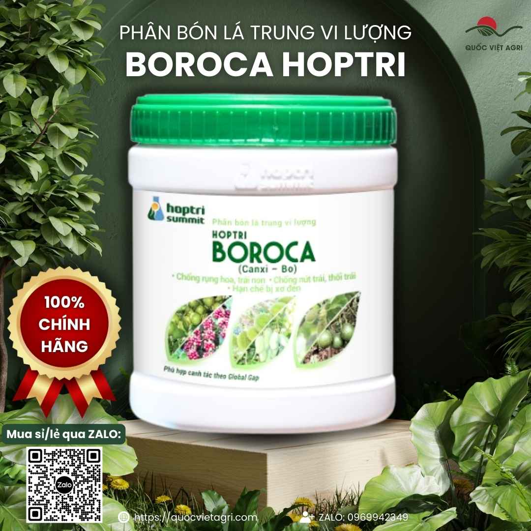 Mặt sau hộp Boroca với hướng dẫn sử dụng chi tiết cho sầu riêng, mít, cây có múi.