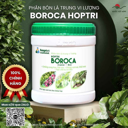 Mặt sau hộp Boroca với hướng dẫn sử dụng chi tiết cho sầu riêng, mít, cây có múi.