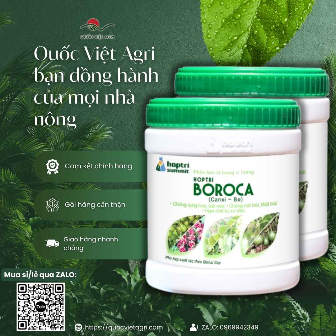 Ảnh tổng quan hộp Phân bón Hợp Trí Boroca 500g, chứa Canxi 12% và Bo 40.000ppm, chuyên chống rụng trái.