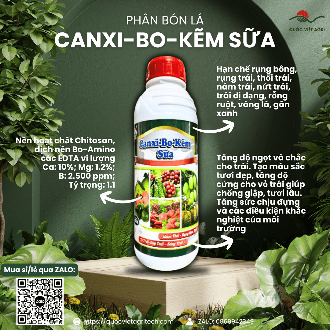 Mặt trước chai phân bón lá SIÊU CANXI BO KẼM SỮA 1 Lít, nhãn hiệu rõ ràng, chuyên dùng cho cây ăn trái, sản phẩm của Quốc Việt Agri.