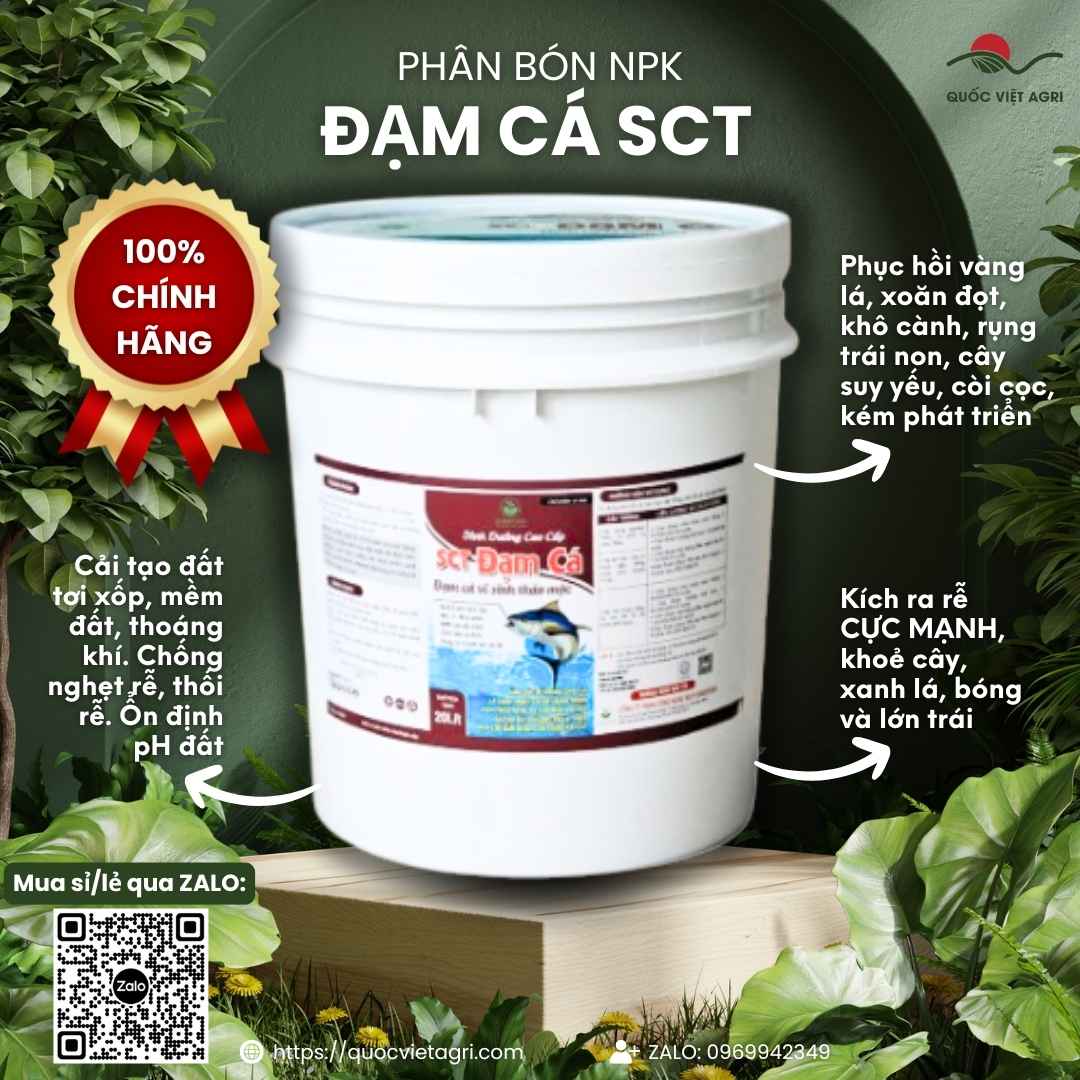 Mặt trước xô phân bón hữu cơ SCT Đạm Cá 20KG, chuyên dùng để cải tạo đất, phục hồi cây, sản phẩm chính hãng của Quốc Việt Agri.

