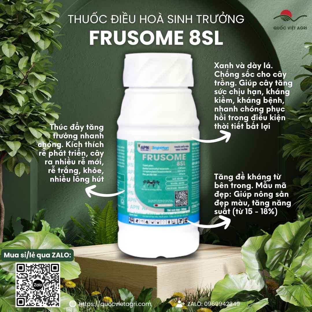 Mặt trước chai Frusome 8SL 200ml, thuốc điều hòa sinh trưởng An Phát Nông, chứa DA-6 và Brassinosteroid.