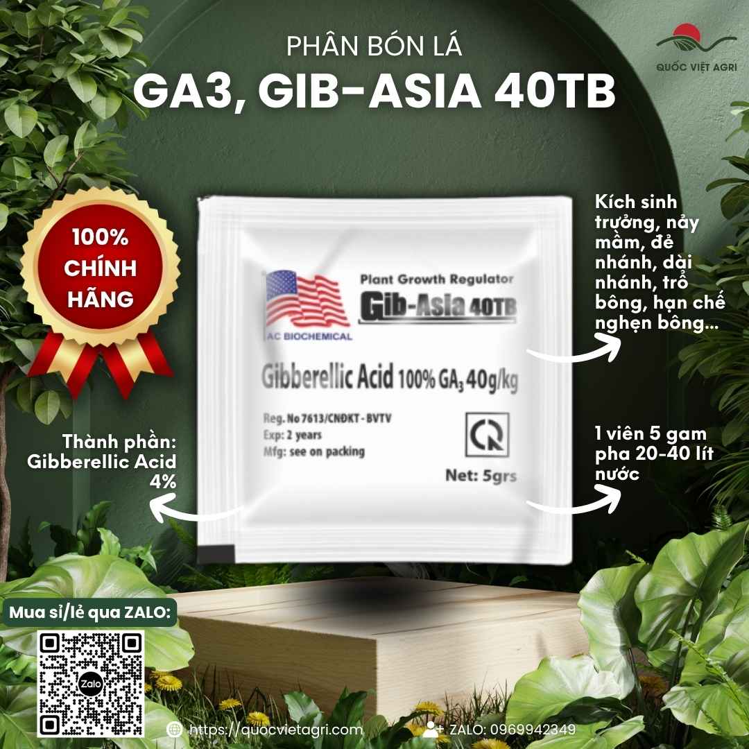 Mặt trước vỉ thuốc điều hòa sinh trưởng GA3 Viên Sủi 5g, chuyên dùng để kích thích tăng trưởng, kéo bông, sản phẩm chính hãng Á Châu Hóa Sinh.