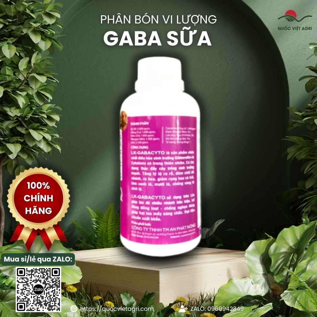 Bảng thành phần Ga3, Cytokinin và vi lượng mặt sau chai Gaba Sữa.