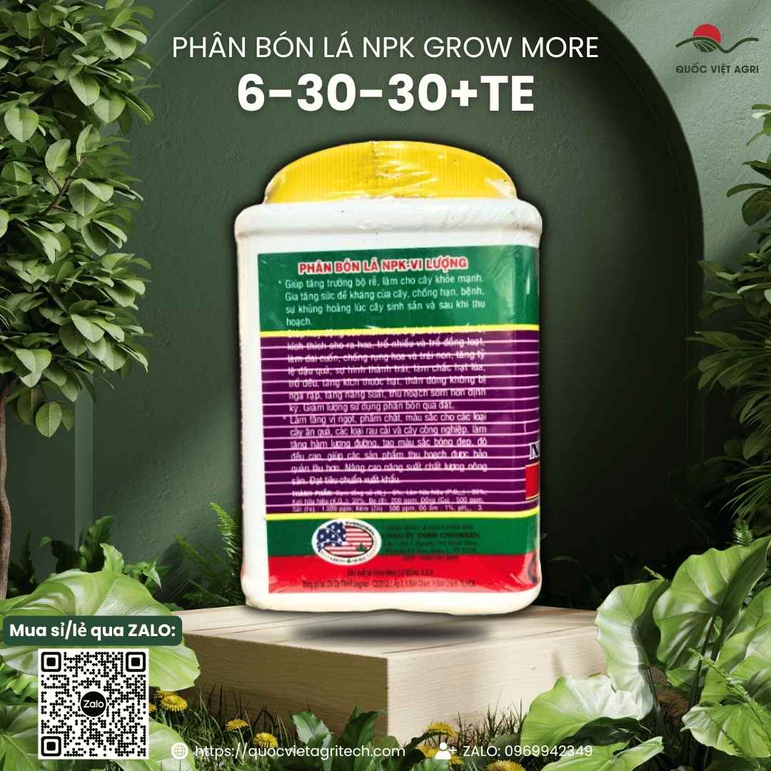Mặt sau hộp phân bón Growmore 6-30-30+TE 500g, với thiết kế bao bì đặc trưng, chuyên nghiệp.