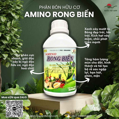 Mặt trước chai phân bón hữu cơ Amino Rong Biển 500ml, chuyên dùng để giải độc phèn, phục hồi cây, sản phẩm chính hãng của Quốc Việt Agri.


