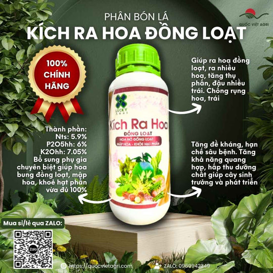 Mặt trước chai phân bón lá Kích Ra Hoa Đồng Loạt 500ml, chuyên dùng để dưỡng hoa, mập bông, sản phẩm chính hãng của Quốc Việt Agri.

