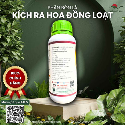 Mặt sau chai phân bón lá Kích Ra Hoa Đồng Loạt 500ml, chuyên dùng để dưỡng hoa, mập bông, sản phẩm chính hãng của Quốc Việt Agri.

