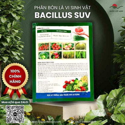 Mặt sau gói Bacillus SUV với thông tin thành phần Bacillus subtilis và hướng dẫn sử dụng cho rau cải ngọt, cây ăn trái.