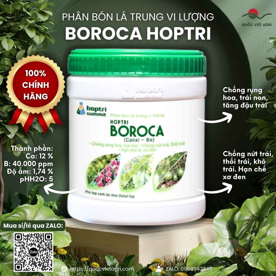 Mặt trước hộp Phân bón Hợp Trí Boroca 500g, chứa Canxi 12% và Bo 40.000ppm, chuyên chống rụng trái.