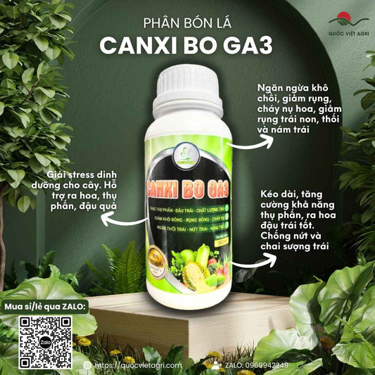 Mặt trước chai phân bón lá Siêu Canxi Bo GA3 500ml, chuyên dùng để chống rụng hoa, trái non, sản phẩm chính hãng của Quốc Việt Agri.

