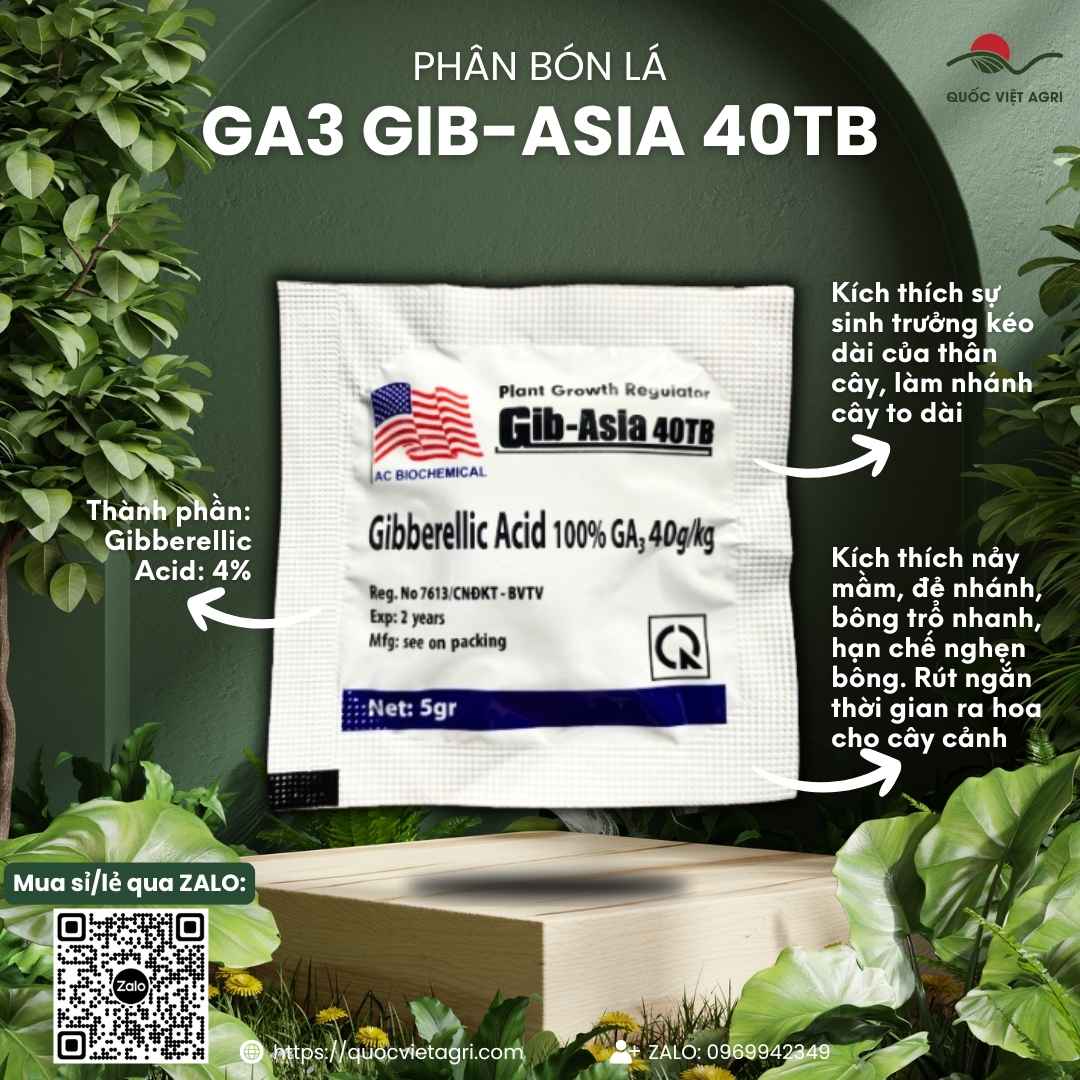 Mặt trước vỉ thuốc điều hòa sinh trưởng GA3 Viên Sủi 5g, chuyên dùng để kích thích tăng trưởng, kéo bông, sản phẩm chính hãng Á Châu Hóa Sinh.