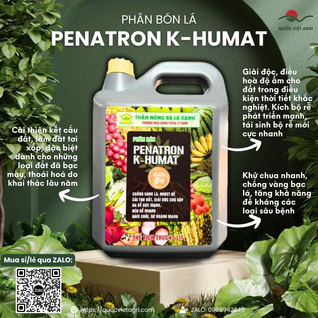 Mặt trước can phân bón Penatron K-Humat 5 Lít, chuyên dùng để kích rễ mạnh, cải tạo đất, sản phẩm chính hãng Ba Lá Xanh.

