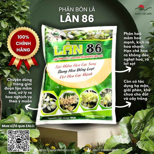 Mặt trước gói phân bón Lân 86 1KG, chuyên dùng để kích thích ra hoa nghịch vụ, sản phẩm chính hãng của Quốc Việt Agri.

