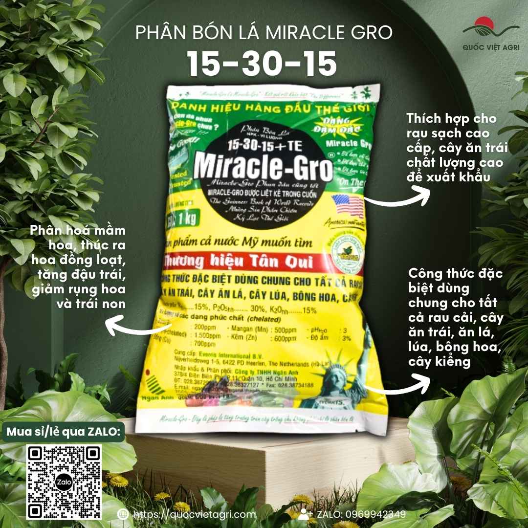 Mặt trước gói phân bón lá Miracle-Gro 15-30-15+TE 1KG, chuyên dùng để kích thích ra hoa cho mai vàng, cây cảnh, sản phẩm chính hãng Tân Qui.

