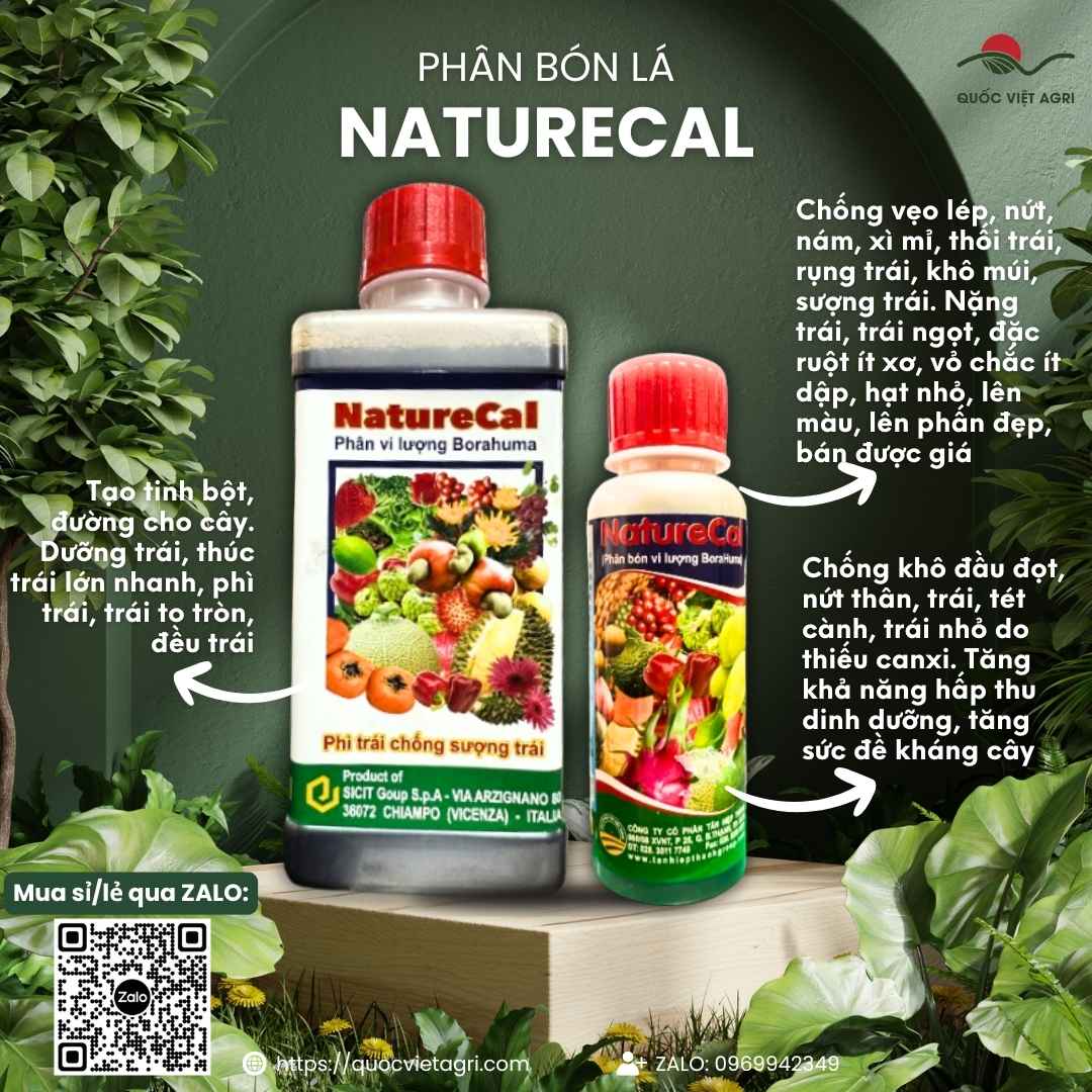 Mặt trước chai phân bón lá Naturecal 500ml, chuyên dùng để siêu lớn trái, chống sượng, sản phẩm nhập khẩu từ Italia.

